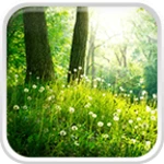 forest live wallpaper android application logo